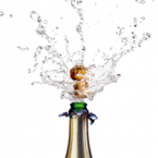 Sparkling Wine Education