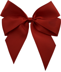 BottleBow 5 Bow